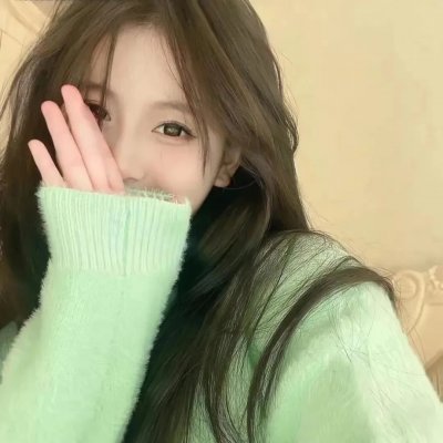 木材宝藏狗